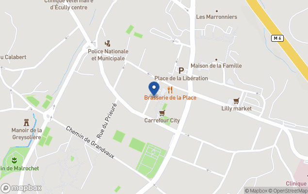 ecully immobilier