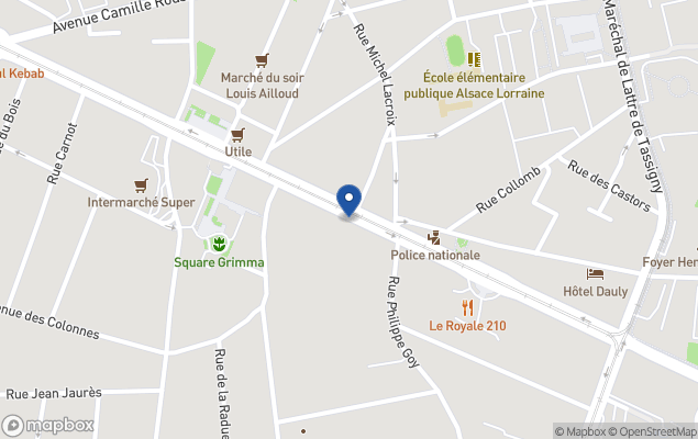 neo immobilier