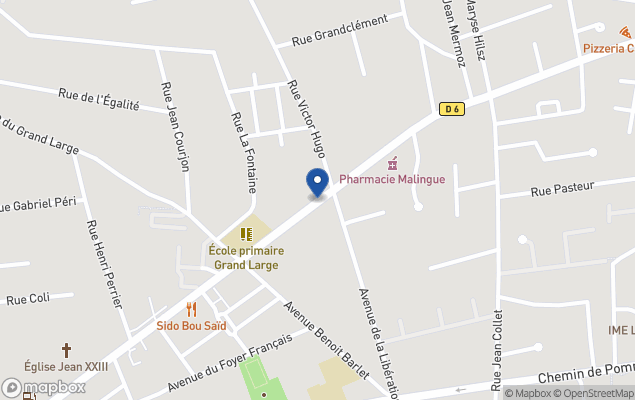 immo est lyonnais